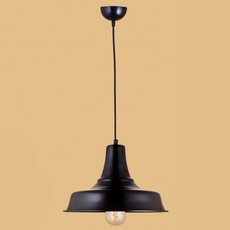 Светильник с арматурой чёрного цвета, металлическими плафонами Loft House P-86