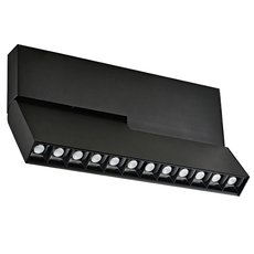 Шинная система с арматурой чёрного цвета, металлическими плафонами Donolux DL18786/12M Black