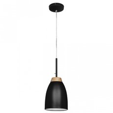 Светильник с арматурой чёрного цвета Loft IT LOFT4402A-BL