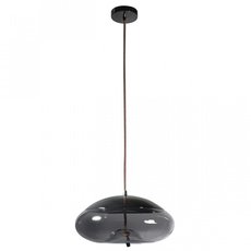 Светильник с арматурой чёрного цвета Loft IT 8134-D