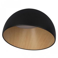 Светильник с арматурой чёрного цвета, плафонами чёрного цвета Loft IT 10197/350 Black