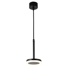 Светильник с арматурой чёрного цвета Favourite 3077-1P