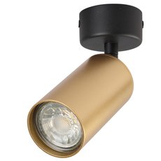Точечный светильник с металлическими плафонами Crystal lux CLT 015CW1R BL-GO