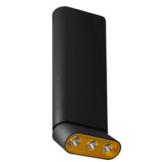 Точечный светильник с арматурой чёрного цвета Lumien Hall 8005/3CL-BK-GD