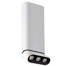 Точечный светильник с плафонами белого цвета Lumien Hall 8005/3CL-WT-BK