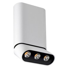 Точечный светильник с плафонами белого цвета Lumien Hall 8005/3CM-WT-BK