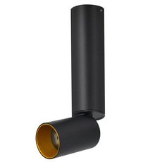 Точечный светильник с металлическими плафонами чёрного цвета Lumien Hall 8001/1CM-BK-GD