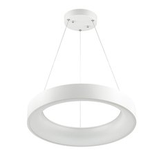Светильник с арматурой белого цвета, пластиковыми плафонами Odeon Light 4066/50L