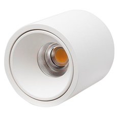 Точечный светильник с арматурой белого цвета LEDRON RINBOK White