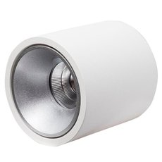 Точечный светильник с арматурой белого цвета, металлическими плафонами LEDRON RINBOK White/Grey