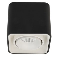 Точечный светильник с арматурой чёрного цвета LEDRON TUBING Black/White
