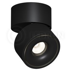 Точечный светильник с арматурой чёрного цвета, плафонами чёрного цвета LEDRON LH13W Black