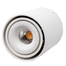 Точечный светильник с арматурой белого цвета LEDRON ORBIN Tub White