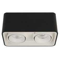 Точечный светильник с арматурой чёрного цвета LEDRON TUBING 2 Black/White