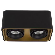 Точечный светильник с арматурой чёрного цвета LEDRON TUBING 2 Black/Gold