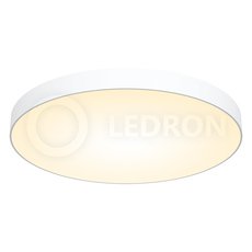 Светильник с пластиковыми плафонами белого цвета LEDRON DLC73029/60W 4000K