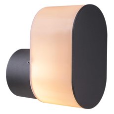 Светильник для уличного освещения с арматурой чёрного цвета, пластиковыми плафонами Globo 32101A
