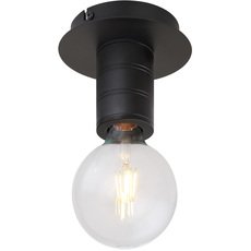 Светильник с арматурой чёрного цвета Globo 54030-1D