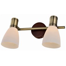 Спот с двумя лампами Toplight TL3720Y-02BB