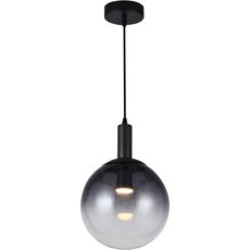 Светильник с арматурой чёрного цвета, стеклянными плафонами Toplight TL1217H-01BL