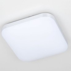 Светильник с плафонами белого цвета Citilux CL714K24SV