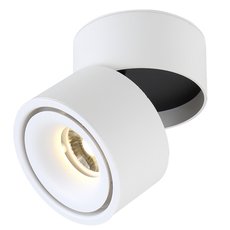 Точечный светильник с плафонами белого цвета Crystal lux CLT 412C WH