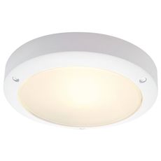 Светильник для уличного освещения с стеклянными плафонами белого цвета SLV 229071