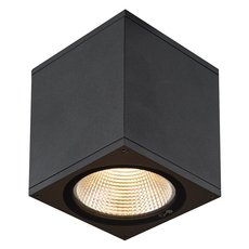 Светильник для уличного освещения с плафонами чёрного цвета SLV 1003421
