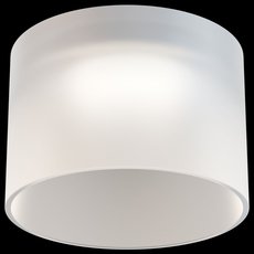 Точечный светильник с плафонами белого цвета Maytoni DL047-01W