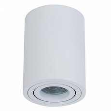 Точечный светильник с металлическими плафонами Maytoni C016CL-01W
