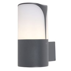 Светильник для уличного освещения с пластиковыми плафонами белого цвета Maytoni O016WL-01B