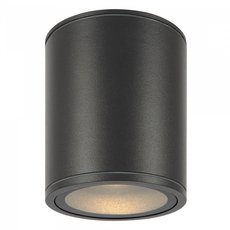 Светильник для уличного освещения с металлическими плафонами чёрного цвета Maytoni O306CL-L12GF