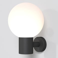 Светильник для уличного освещения с арматурой чёрного цвета Maytoni O598WL-01B