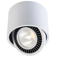 Точечный светильник с арматурой белого цвета, плафонами белого цвета Regenbogen LIFE 637017301