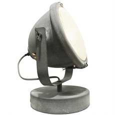 Настольная лампа с плафонами неокрашенного цвета Lussole LSP-9880