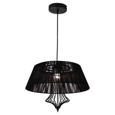 Светильник с арматурой чёрного цвета Lussole LSP-8106