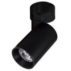 Точечный светильник с металлическими плафонами Citilux CL01B071N