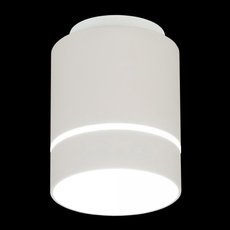 Точечный светильник с плафонами белого цвета Citilux CL745010N