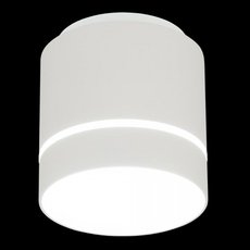 Точечный светильник с плафонами белого цвета Citilux CL745020N