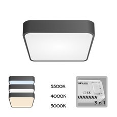 Светильник с арматурой чёрного цвета, плафонами белого цвета Citilux CL724K24V1