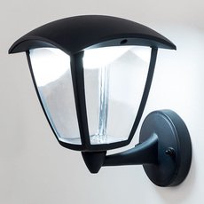 Светильник для уличного освещения с пластиковыми плафонами прозрачного цвета Citilux CLU04W1