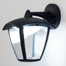 Светильник для уличного освещения с стеклянными плафонами прозрачного цвета Citilux CLU04W2
