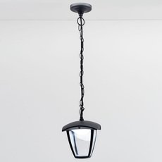 Светильник для уличного освещения с арматурой чёрного цвета, пластиковыми плафонами Citilux CLU04P