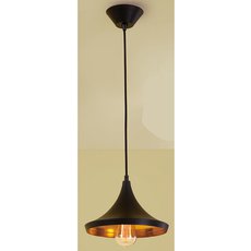 Светильник с арматурой чёрного цвета, плафонами чёрного цвета Citilux CL450209