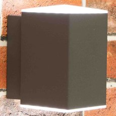 Светильник для уличного освещения с арматурой чёрного цвета, пластиковыми плафонами Citilux CLU0002