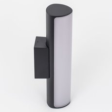 Светильник для уличного освещения с арматурой чёрного цвета, пластиковыми плафонами Citilux CLU0007