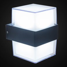 Светильник для уличного освещения с плафонами прозрачного цвета Citilux CLU0009K