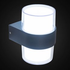 Светильник для уличного освещения с арматурой чёрного цвета Citilux CLU0009R