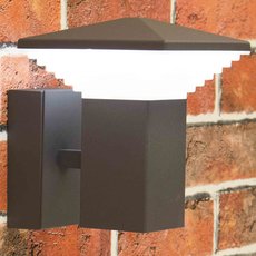 Светильник для уличного освещения с арматурой чёрного цвета, пластиковыми плафонами Citilux CLU02W