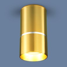 Точечный светильник с плафонами золотого цвета Elektrostandard DLN106 GU10 золото